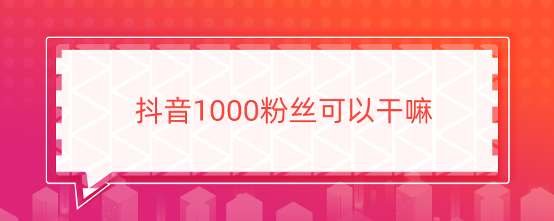 1000˿Ը