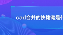 cadϲĿݼʲô