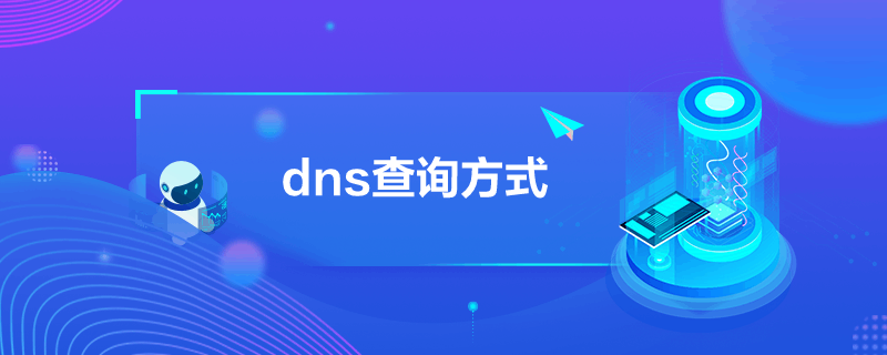 dnsѯʽ