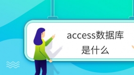 accessݿʲô