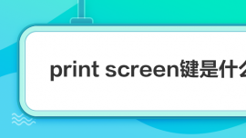 print screenʲô˼