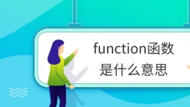 functionʲô˼