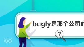buglyǸ˾