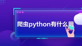 pythonʲô