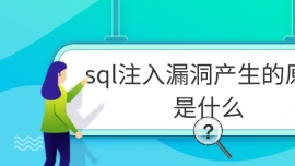 sqlע©ԭʲô