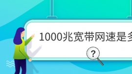 1000׿Ƕ