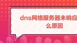 dnsδӦʲôԭ